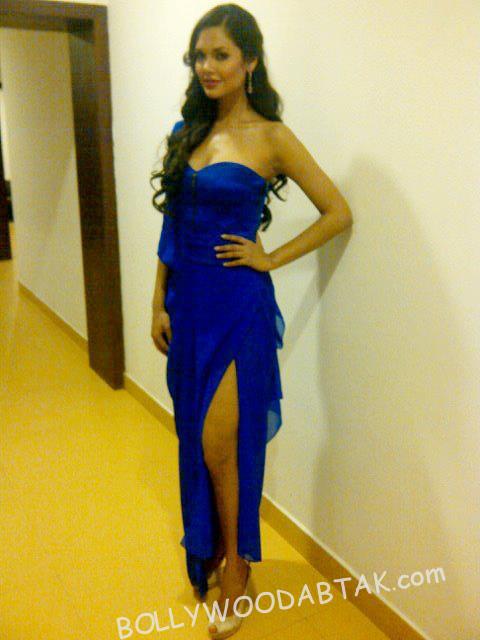 Top 25 Hot Actress Esha Gupta Stunning Various Dress Pose Photos 10 Esha Gupta Hot & Cute Photos