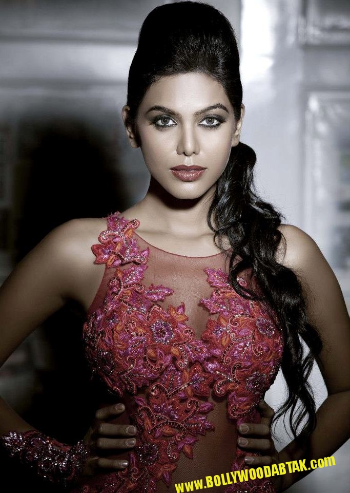 Bollywood Actress Natasha Suri Hot Photos 10 Natasha Suri Hot Photos
