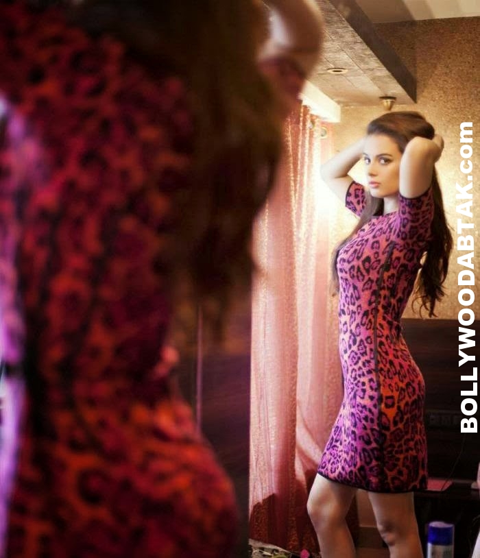 Top 25 Evelyn sharma Hot Photos & Photoshoot Collection 10 Evelyn Sharma Hot Photos