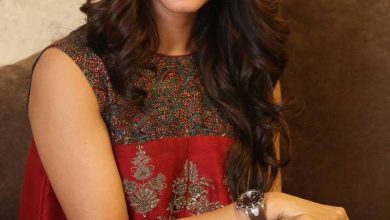Sonal Chauhan Hot Photoshoot Images (5 Photos) 13 Sonal Chauhan Photos At Dictator Movie Success Meet 5