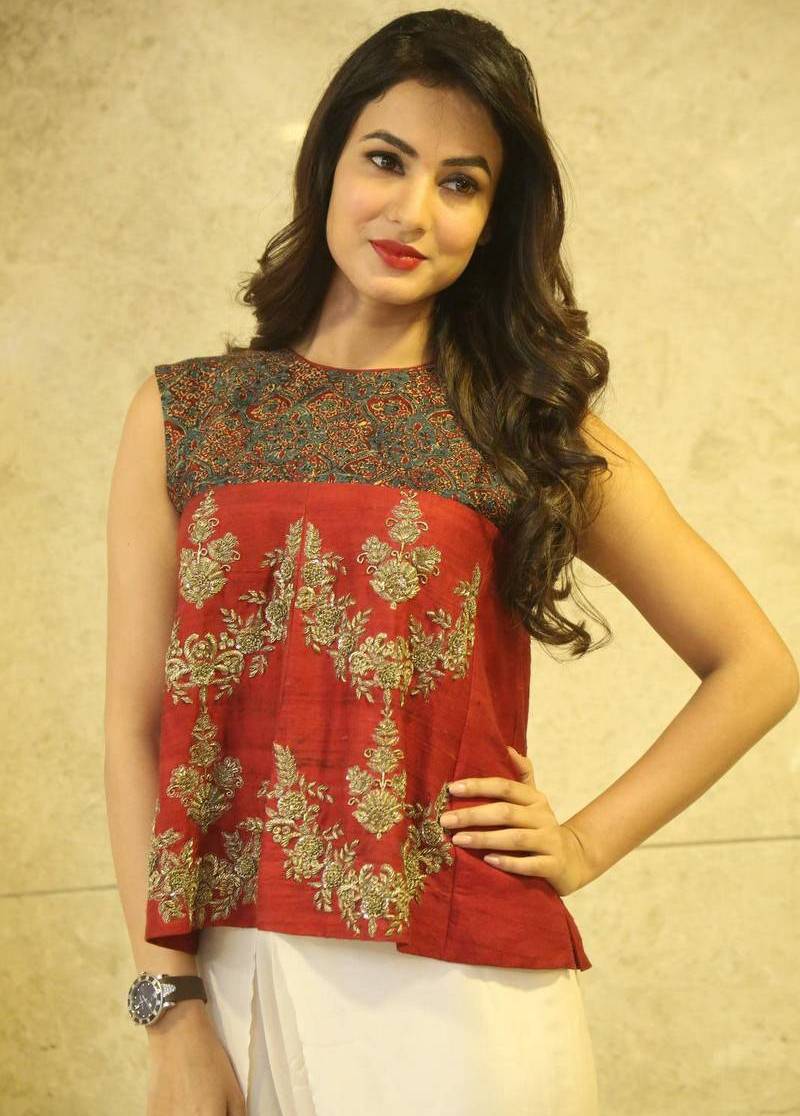 Sonal Chauhan Hot Photoshoot Images (5 Photos) 10 Sonal-Chauhan-Photos