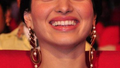 Top 5 Tamannah Bhatiya Cute & Beautiful Photoshoot Images 15 Tamanna Photos At Speedunnodu Movie Audio Launch 9