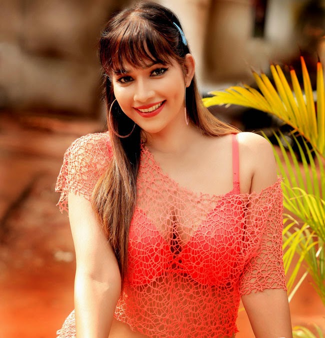 Top 20 Tanisha Singh Hottest & Sexiest Photoshoot Images 10 Tanisha-Singh-Latest-Spicy-Photos-Shoot-For-Movie-1