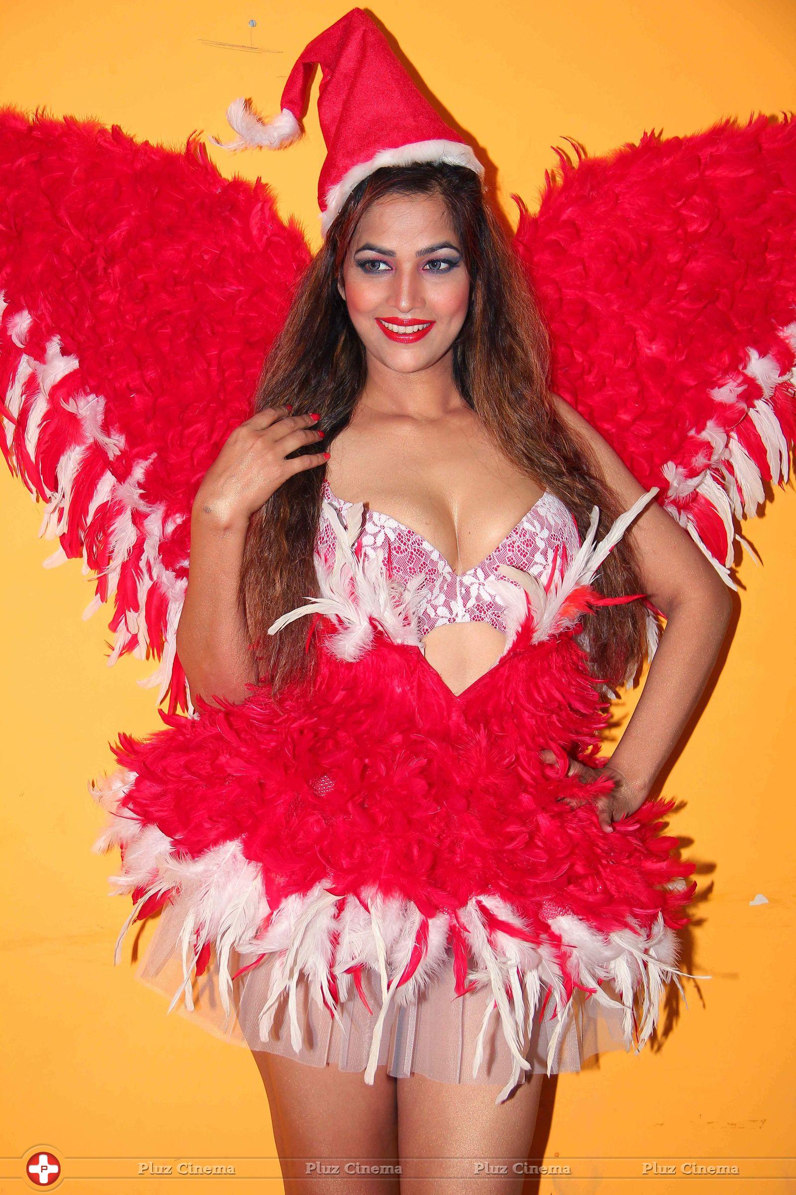 Top 20 Tanisha Singh Hottest & Sexiest Photoshoot Images 10 tanisha-1