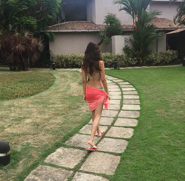 Actress Disha Patani Hot Photos Gallery- Spicy Images 13 disha patani sexy back