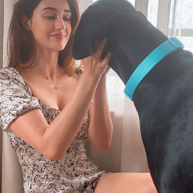 Beautiful Disha Patani Latest Stunning Hot Photos 15 Disha Patani