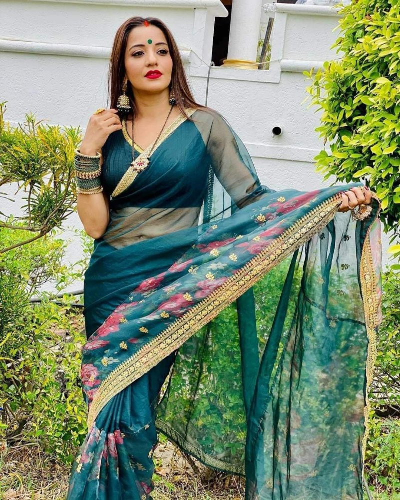 Bhojpuri Actress Antara Biswas (Monalisa) Beautiful Photos in Saari 10 Monalisa