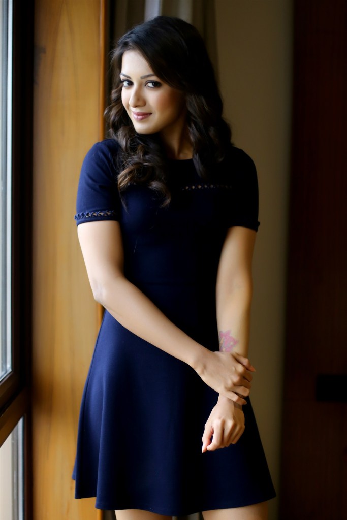 40+ Catherine Tresa Hot Glamorous Photos Gallery 43 Catherine Tresa 4