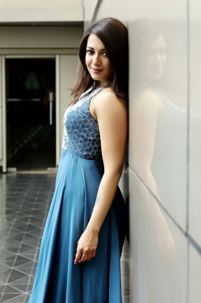 40+ Catherine Tresa Hot Glamorous Photos Gallery 47 Catherine Tresa blue dress sexy 3