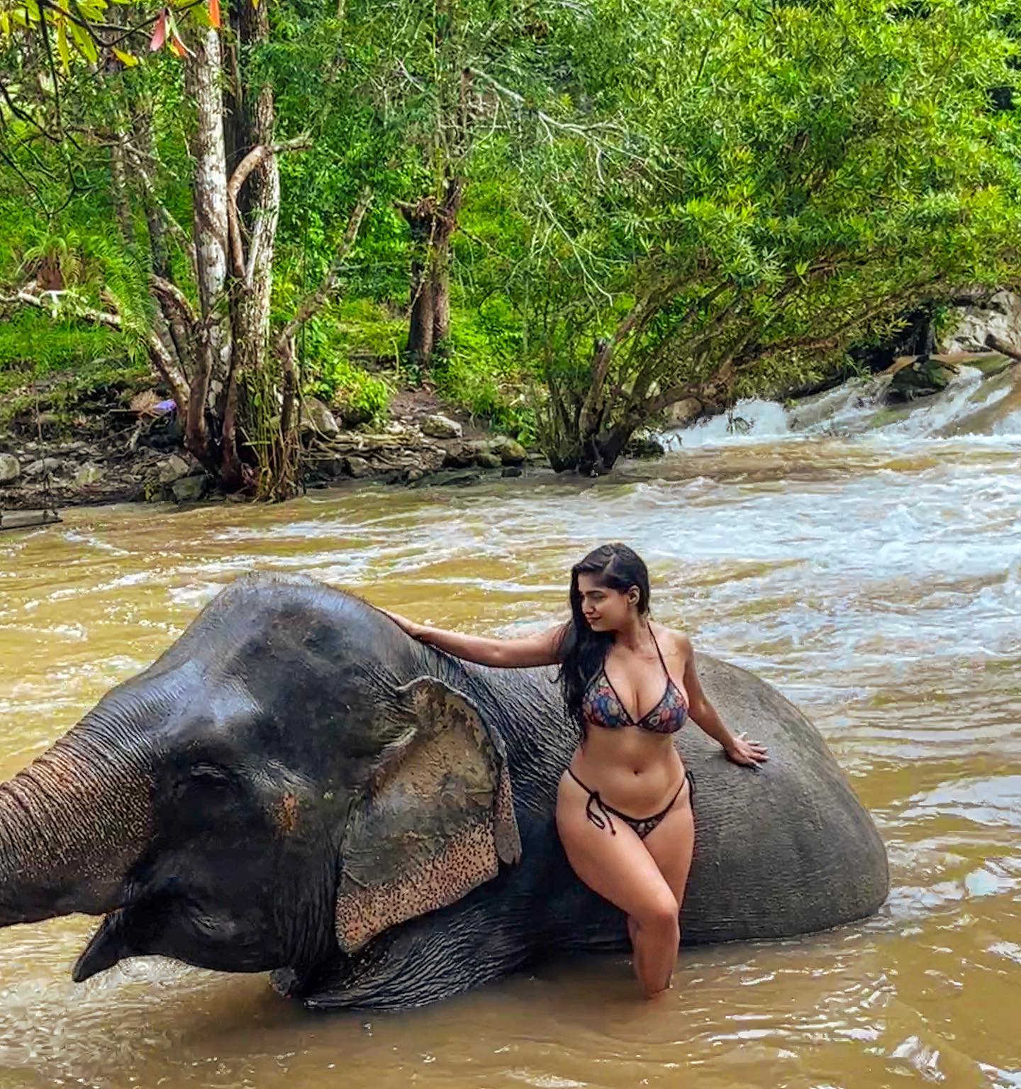 Pratika Sood Happy Moment with Elephant, Bikini Pictures 11 380770820 265143329177553 2635447008318765508 n 1