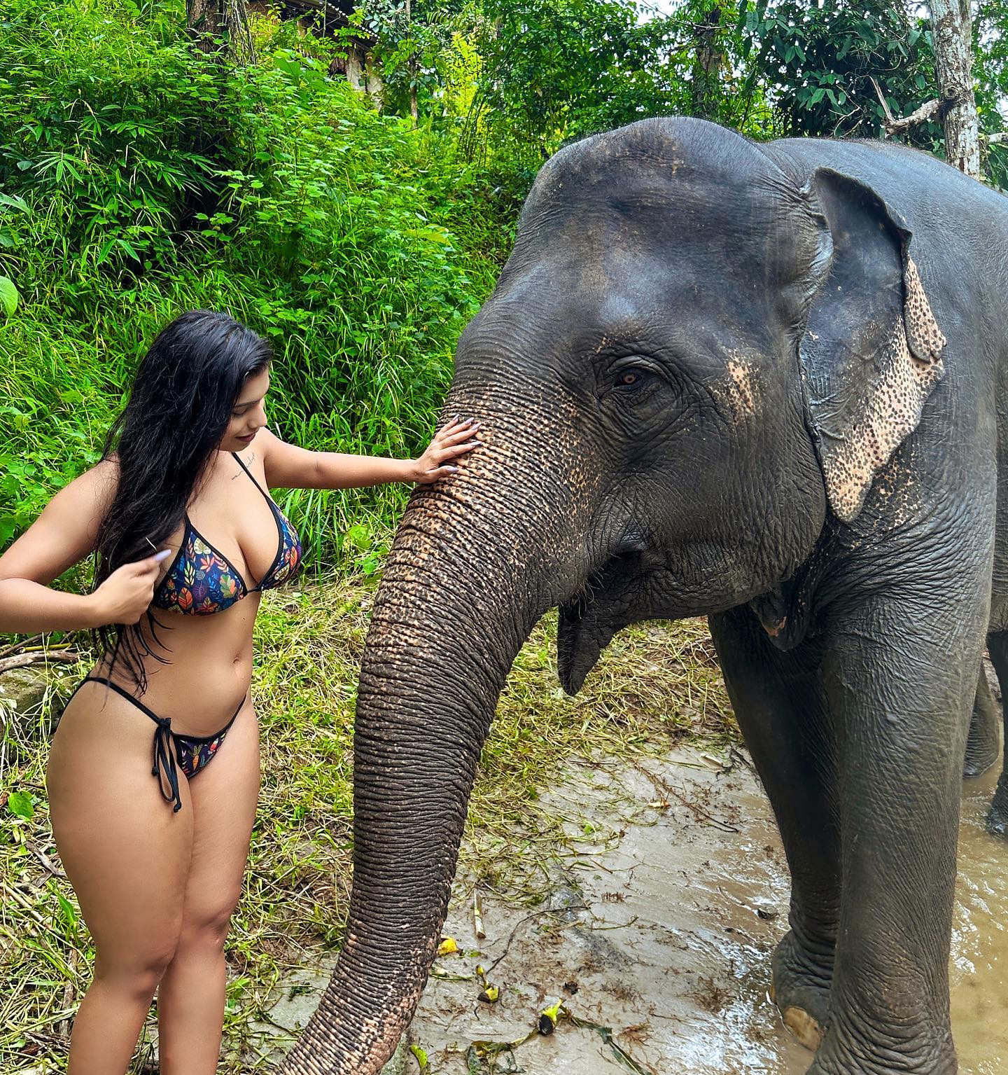 Pratika Sood Happy Moment with Elephant, Bikini Pictures 10 381199729 296040939707356 399858349911078658 n 1