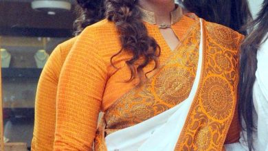 actress nagma in saree