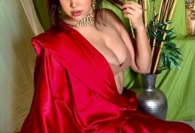 Indian Bombshell Model Ruchi Raj Hot Photos 25 Model ruchi raj bold